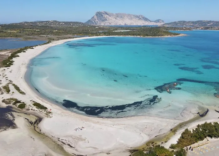 Iss Travel, Panoramic Sea View Ticino - 1 Bedroom 1,5 Km From The Apartment San Teodoro (Sardinia)